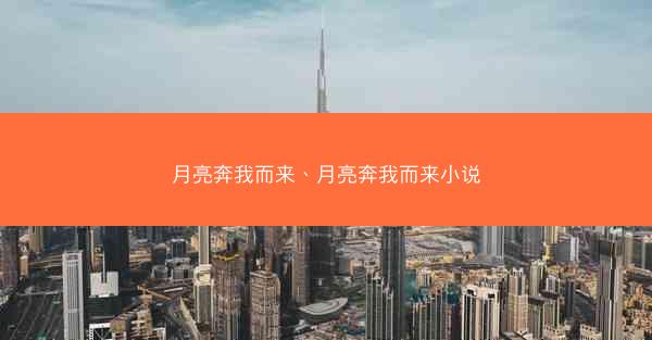 月亮奔我而来、月亮奔我而来小说