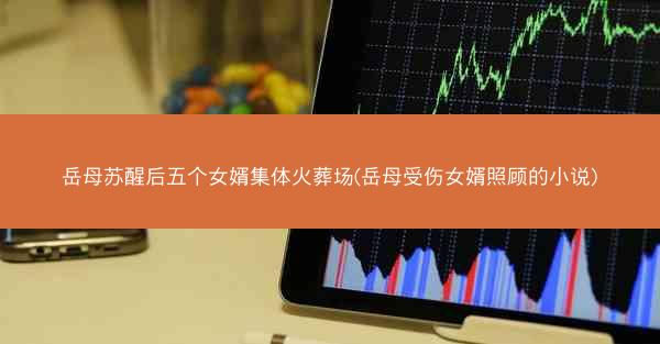 岳母苏醒后五个女婿集体火葬场(岳母受伤女婿照顾的小说)