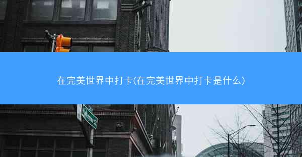 在完美世界中打卡(在完美世界中打卡是什么)