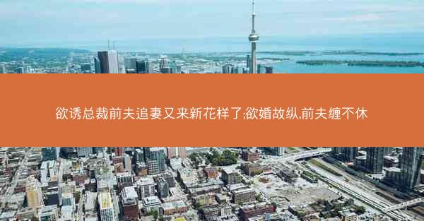 欲诱总裁前夫追妻又来新花样了;欲婚故纵,前夫缠不休