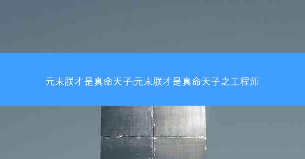 元末朕才是真命天子;元末朕才是真命天子之工程师