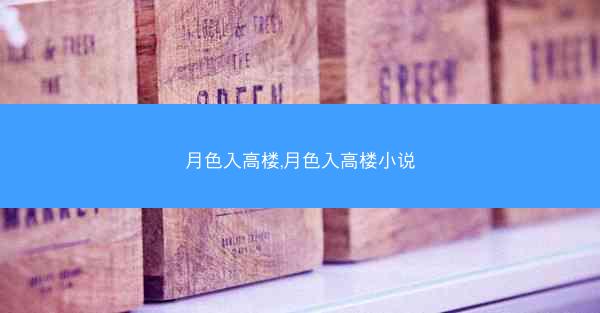 月色入高楼,月色入高楼小说