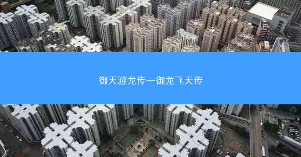 御天游龙传—御龙飞天传