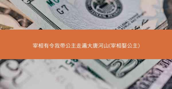 宰相有令我带公主走遍大唐河山(宰相娶公主)