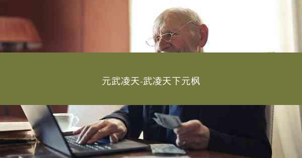 元武凌天-武凌天下元枫