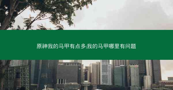 原神我的马甲有点多;我的马甲哪里有问题