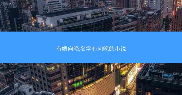 有婚向晚,名字有向晚的小说