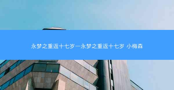 永梦之重返十七岁—永梦之重返十七岁 小梅森