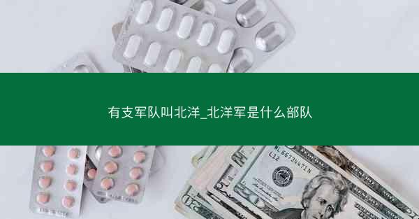 有支军队叫北洋_北洋军是什么部队
