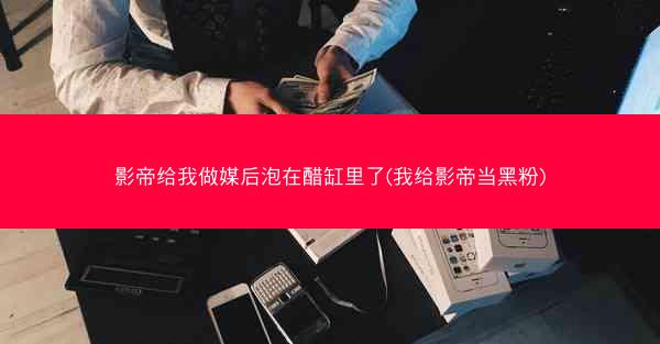 影帝给我做媒后泡在醋缸里了(我给影帝当黑粉)