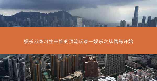 娱乐从练习生开始的顶流玩家—娱乐之从偶练开始