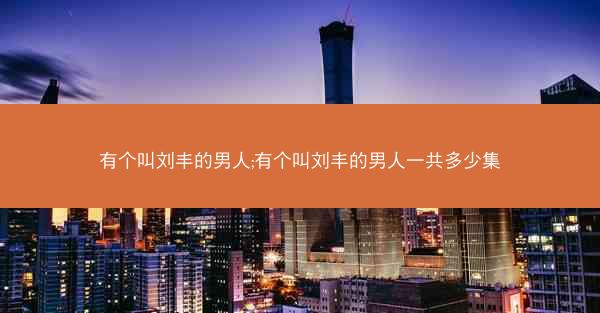 有个叫刘丰的男人;有个叫刘丰的男人一共多少集