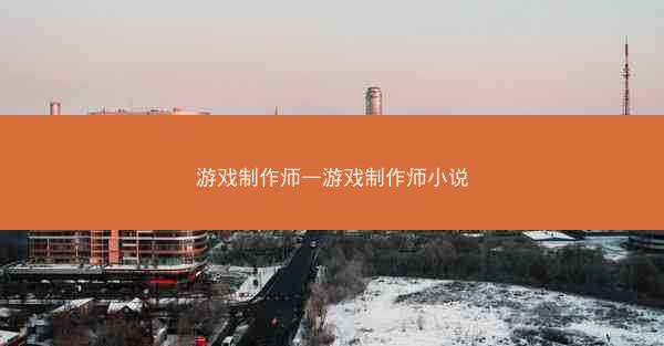 游戏制作师—游戏制作师小说