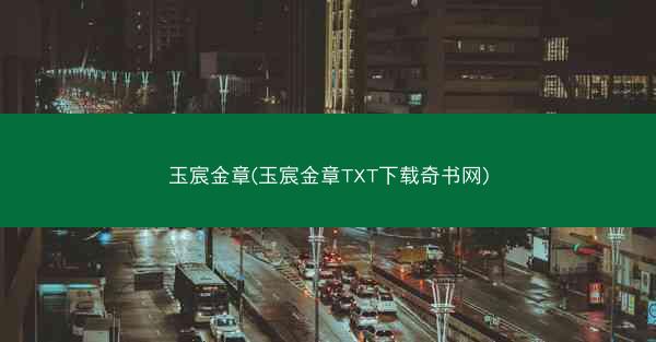 玉宸金章(玉宸金章TXT下载奇书网)