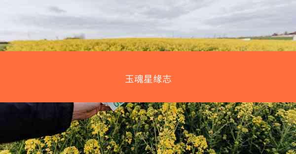 玉魂星缘志