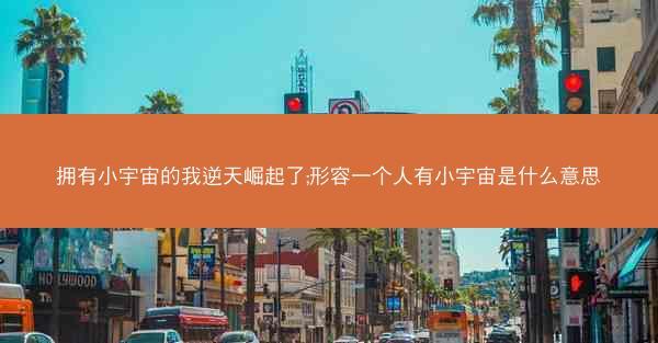 拥有小宇宙的我逆天崛起了;形容一个人有小宇宙是什么意思