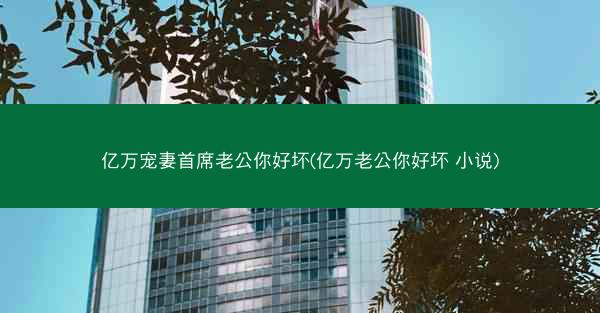 亿万宠妻首席老公你好坏(亿万老公你好坏 小说)
