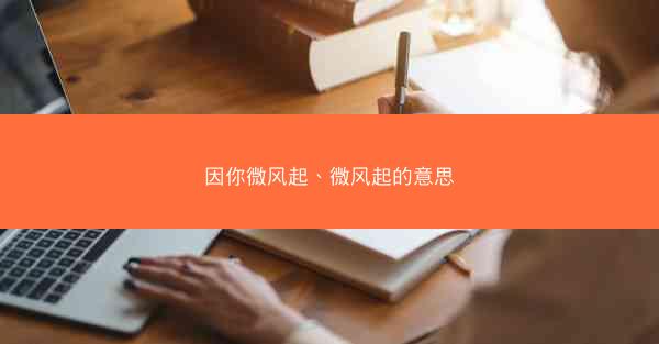 因你微风起、微风起的意思