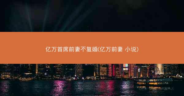 亿万首席前妻不复婚(亿万前妻 小说)