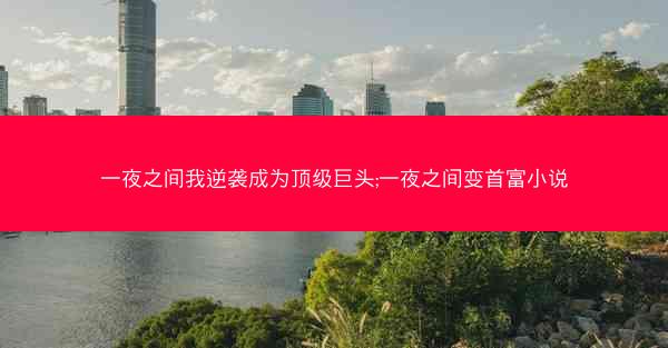 一夜之间我逆袭成为顶级巨头;一夜之间变首富小说