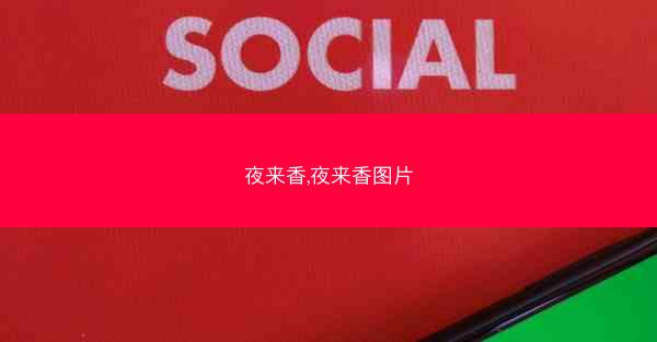 夜来香,夜来香图片