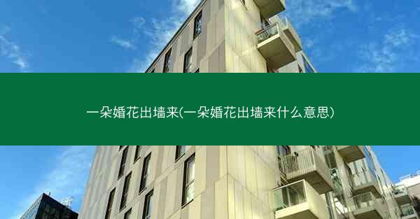 一朵婚花出墙来(一朵婚花出墙来什么意思)