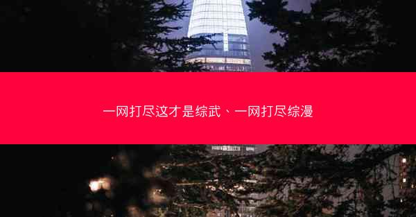一网打尽这才是综武、一网打尽综漫