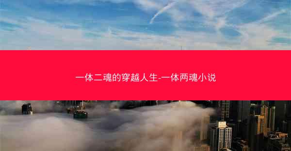 一体二魂的穿越人生-一体两魂小说