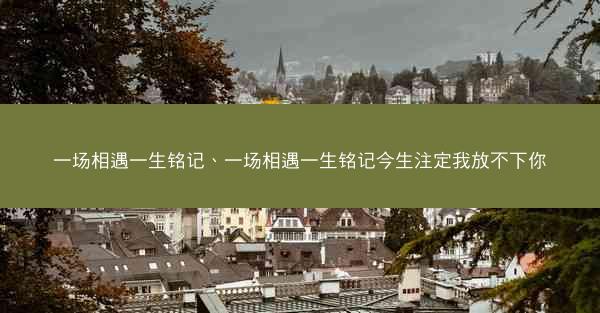 一场相遇一生铭记、一场相遇一生铭记今生注定我放不下你