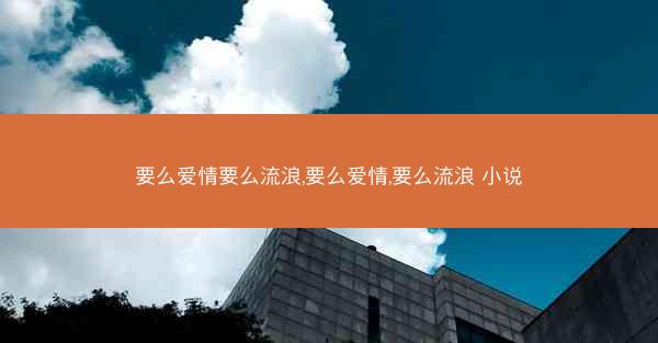 要么爱情要么流浪,要么爱情,要么流浪 小说