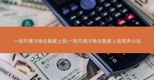 一夜风情冷艳总裁爱上我,一夜风情冷艳总裁爱上我有声小说