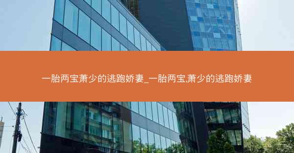 一胎两宝萧少的逃跑娇妻_一胎两宝,萧少的逃跑娇妻