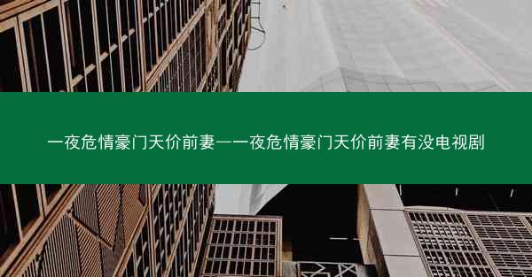 一夜危情豪门天价前妻—一夜危情豪门天价前妻有没电视剧