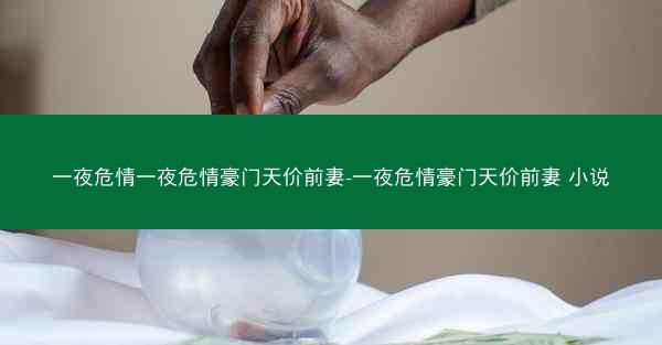 一夜危情一夜危情豪门天价前妻-一夜危情豪门天价前妻 小说