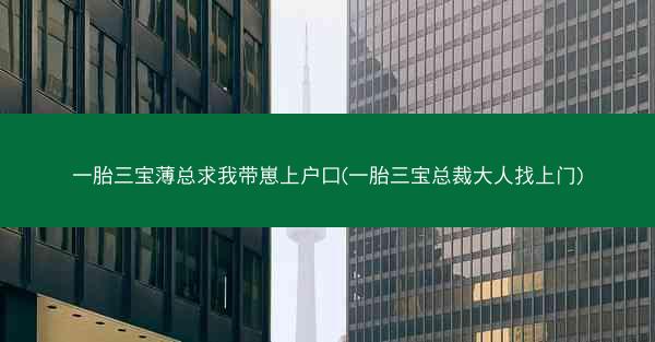 一胎三宝薄总求我带崽上户口(一胎三宝总裁大人找上门)