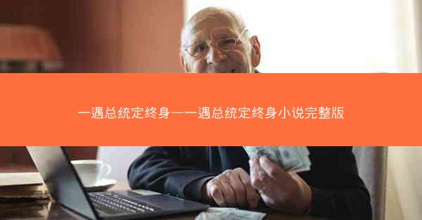 一遇总统定终身—一遇总统定终身小说完整版