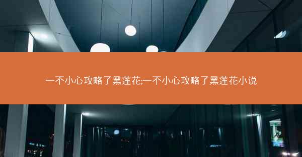 一不小心攻略了黑莲花;一不小心攻略了黑莲花小说