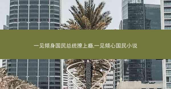 一见倾身国民总统撩上瘾,一见倾心国民小说