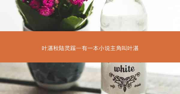 叶湛秋陆灵蹊—有一本小说主角叫叶湛
