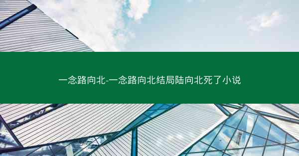 一念路向北-一念路向北结局陆向北死了小说