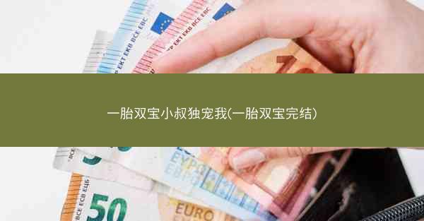 一胎双宝小叔独宠我(一胎双宝完结)