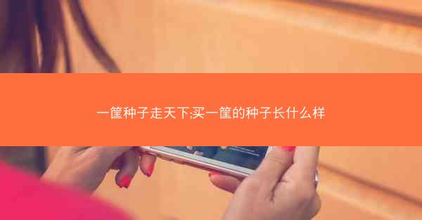 一筐种子走天下;买一筐的种子长什么样